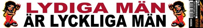 Huvudbild Lydiga män